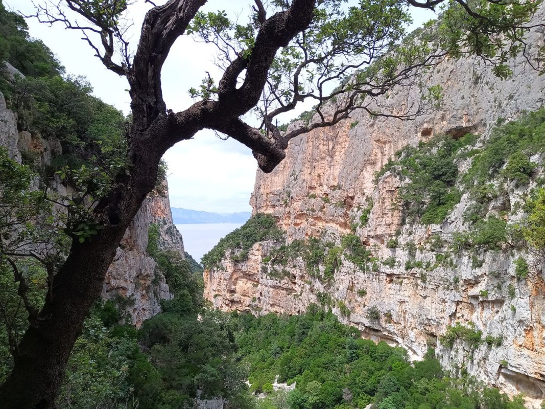 Mais quel vue !
