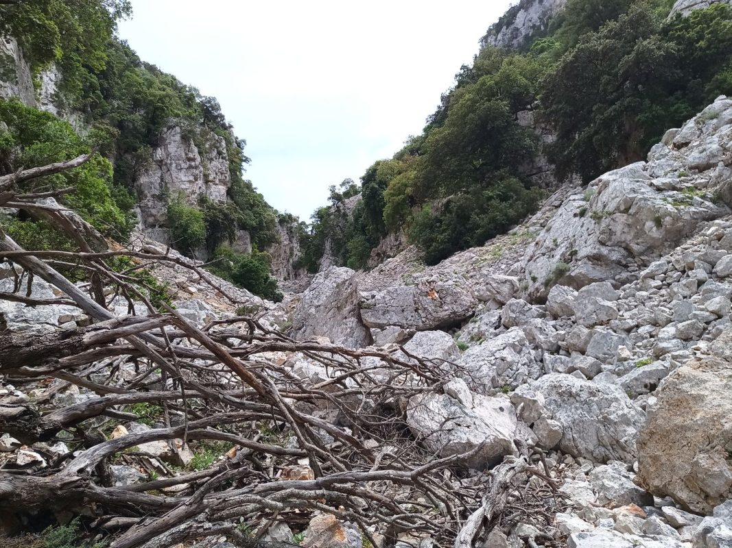 Devant les falaises sont moins haute, j'approche du plateau