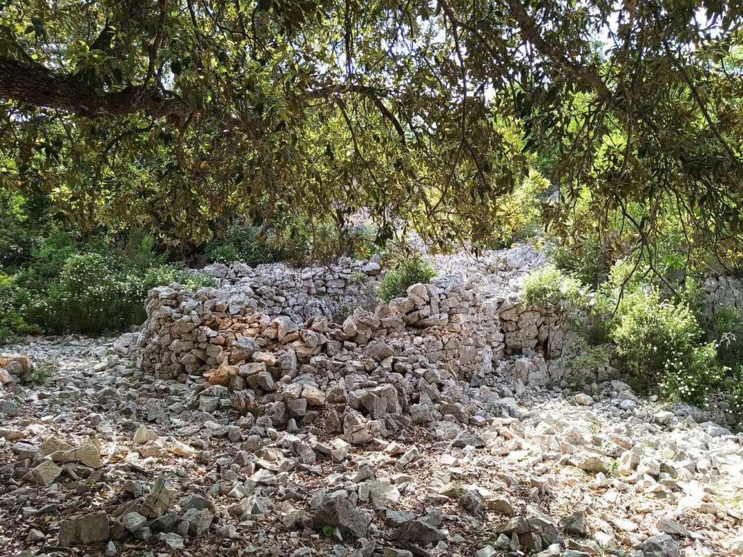 D'anciennes... choses...