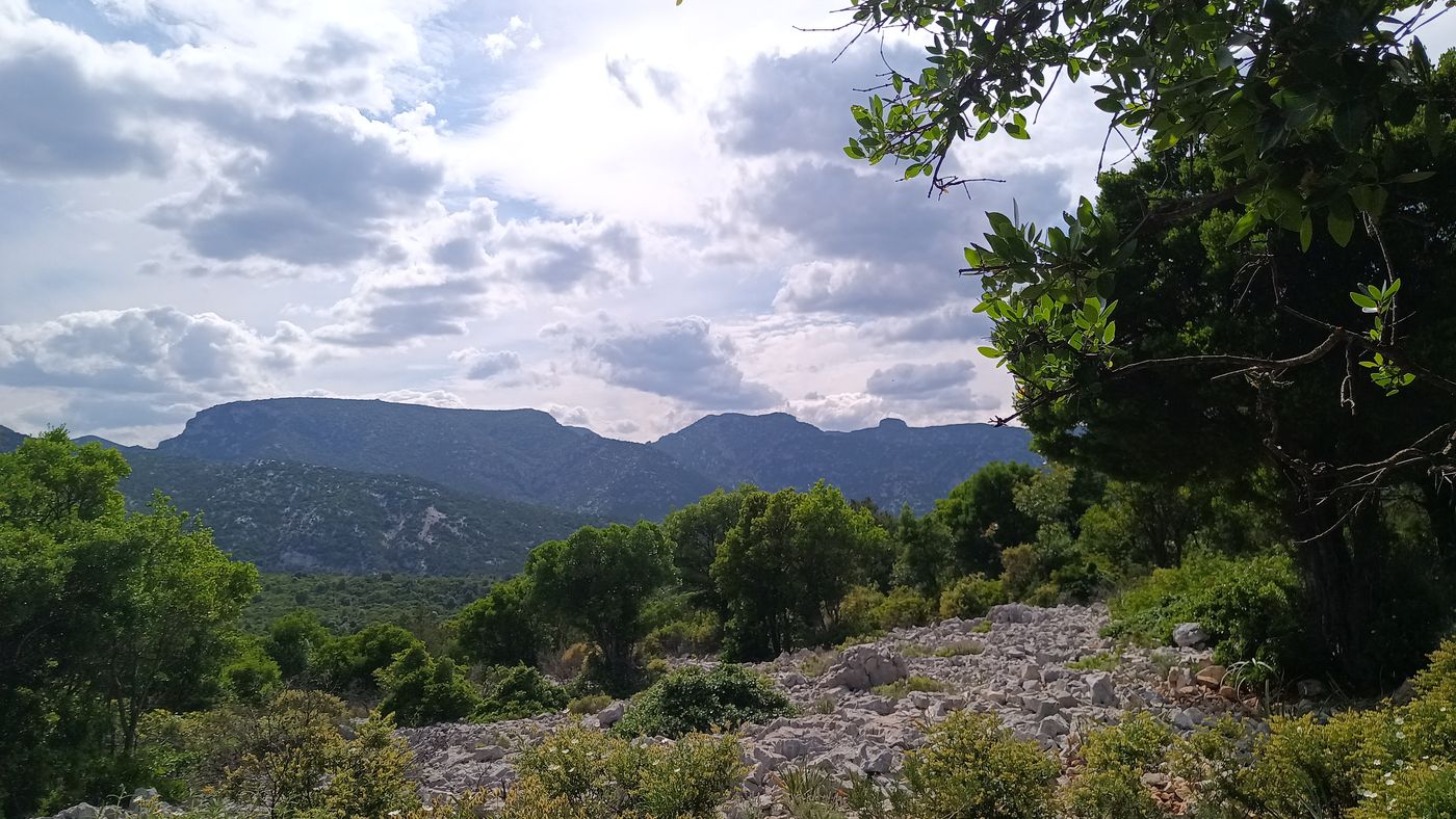 L'intérieurs de la réserve naturelle