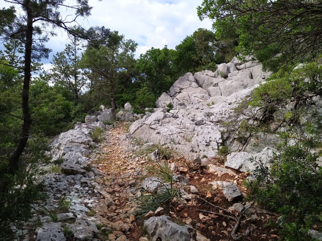 Après une habitation, la route devient sentier