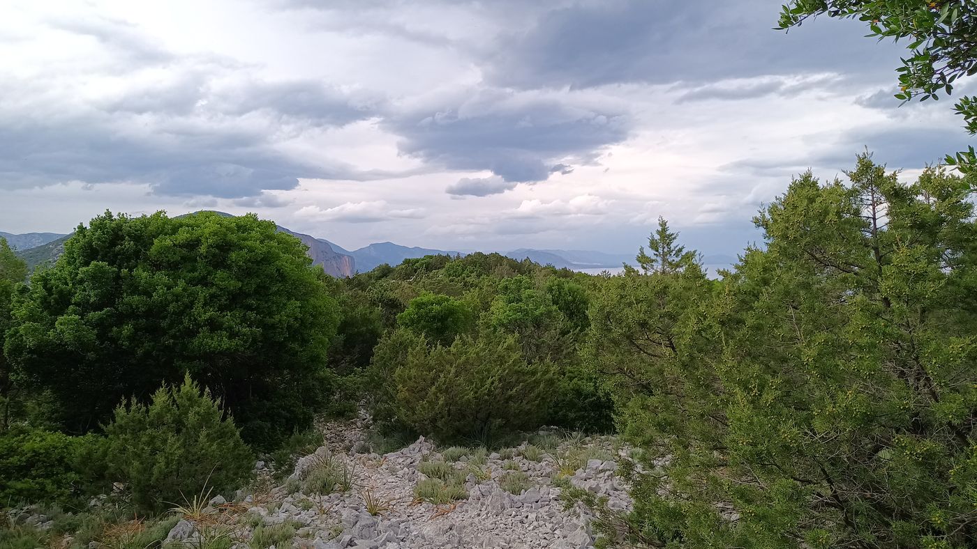 Le ciel est menaçant, mais ca tiens.