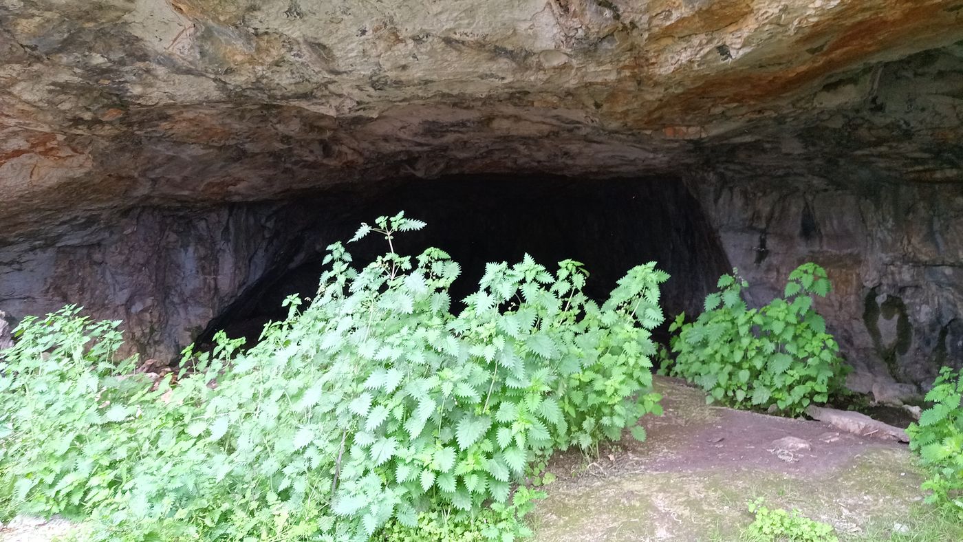 Encore des orties, c'est que devant les grottes en plus, jamais ailleurs