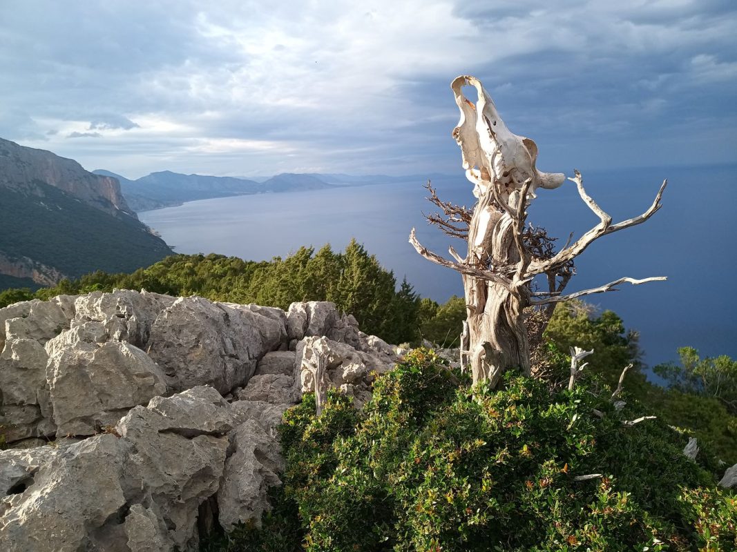 Le repère et la vue Nord