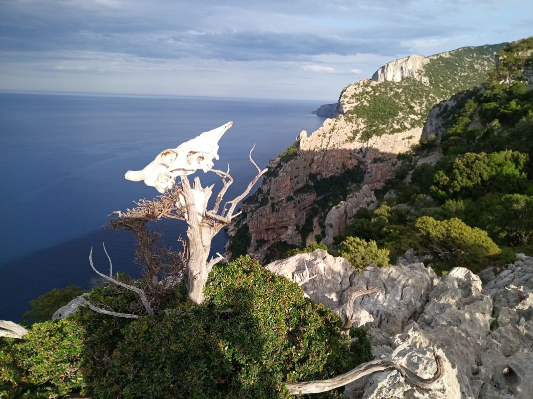 Le repère et la vue Sud