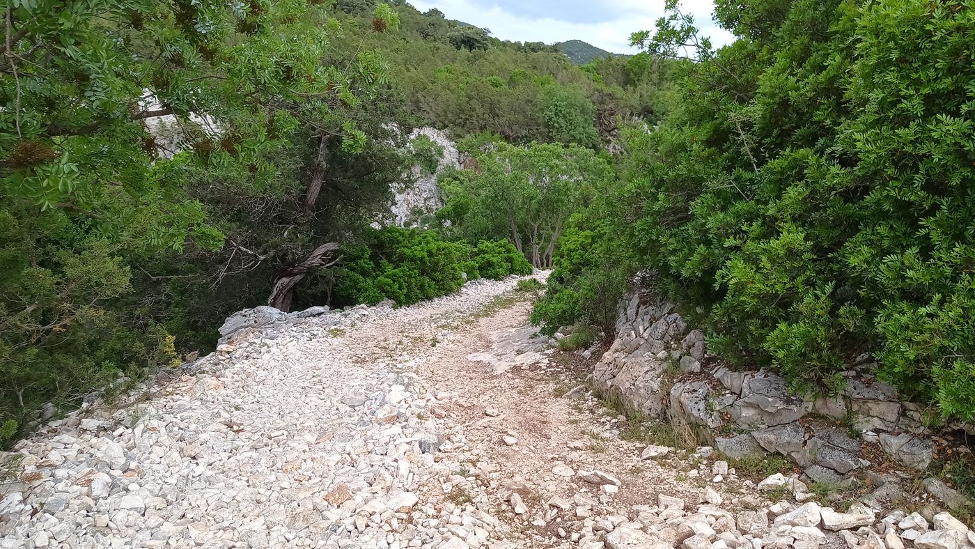 Et là c'est limite une route !