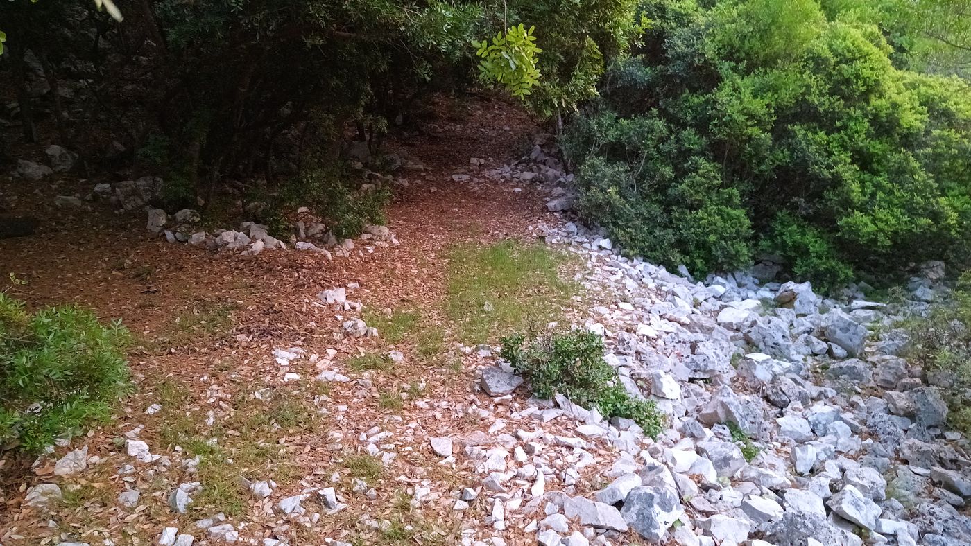 Mon coin de Bivouac