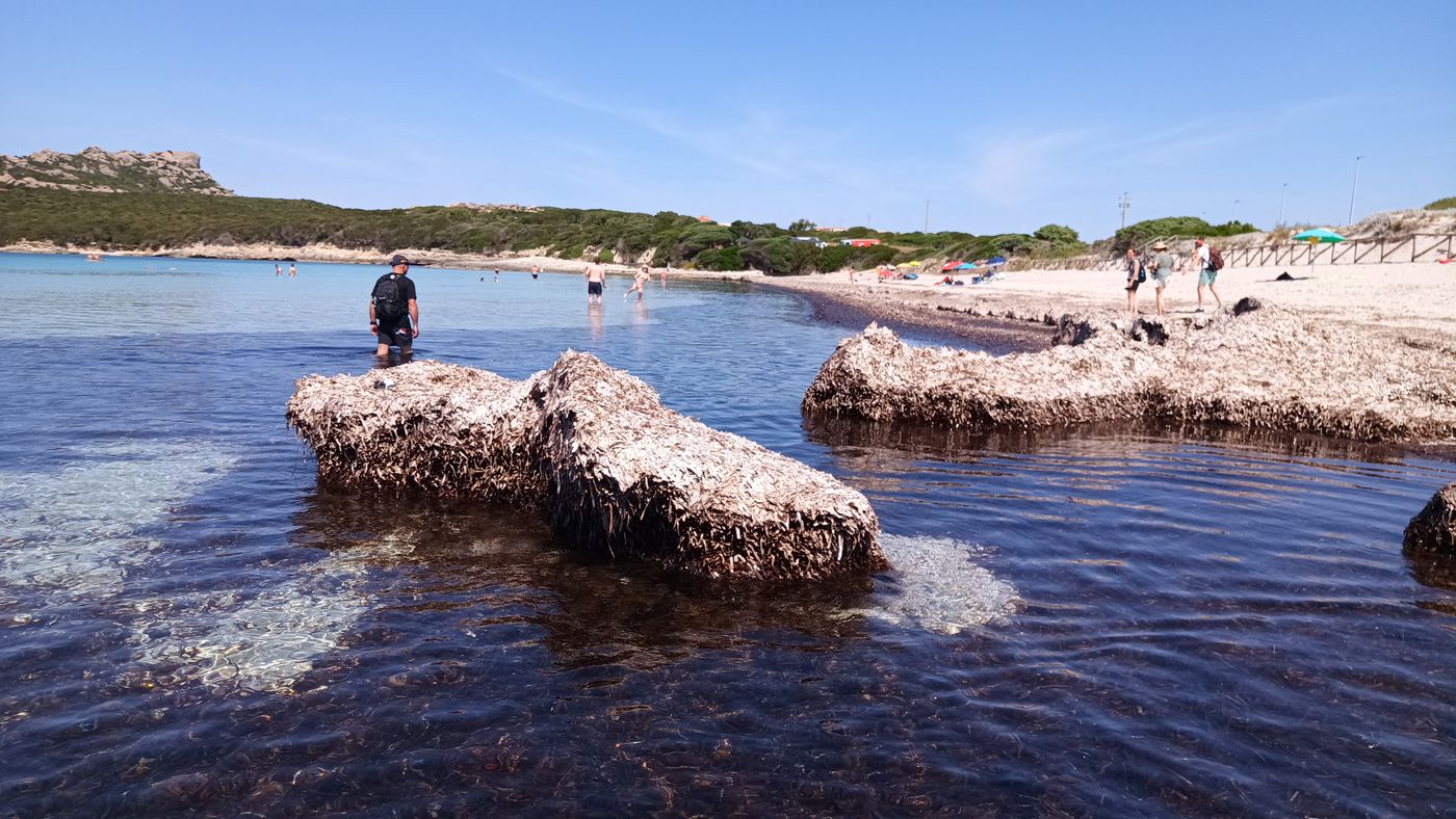 Marche dans l'eau au milieux des roches type volcaniques et des tas de posidonie.