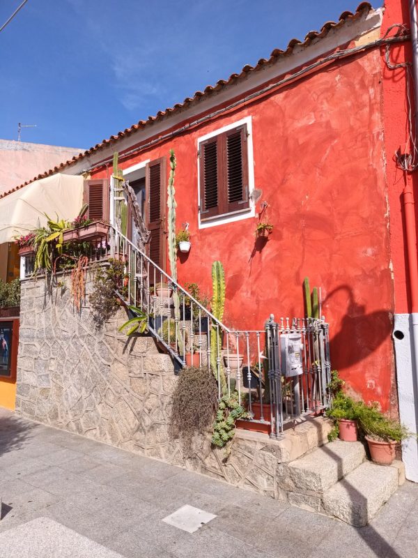 Maison colorée, fleuris