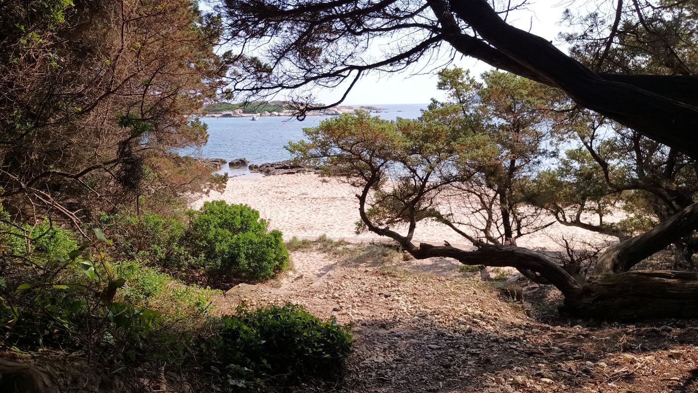 Les bords de plage