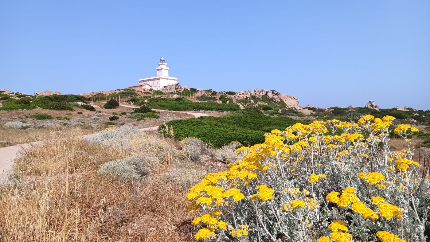 Le phare fleuris