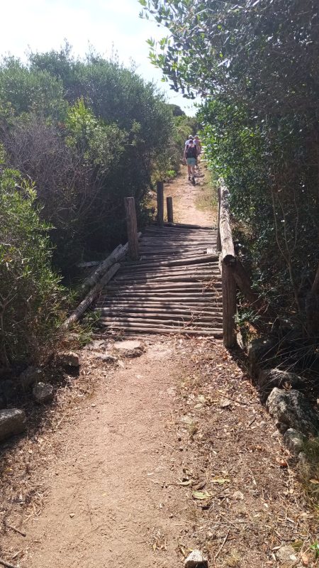 Départ par un sentier, comme toujours, bien aménager