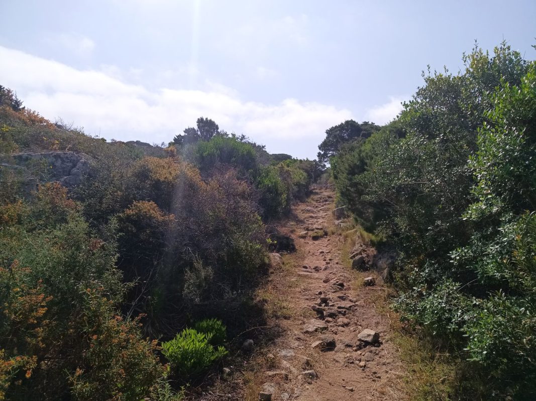 Le sentier au début