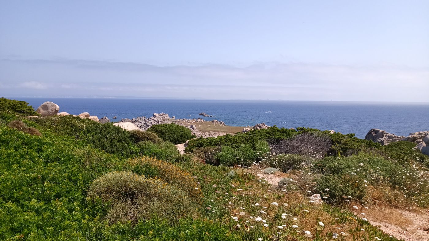 Vue mer