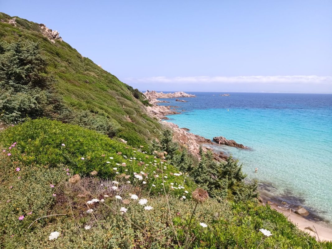 La cote, il a fallu contourner cette partie falaise par le haut.