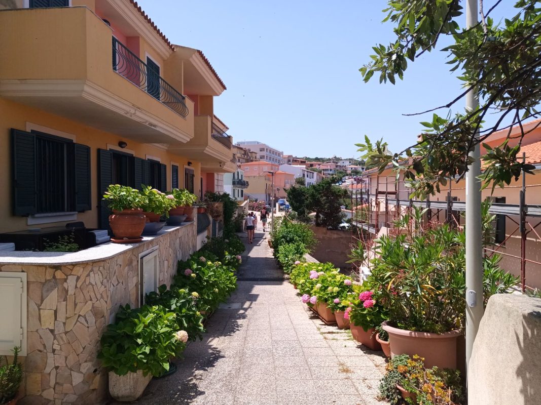Petite ruelle bordé de plantes
