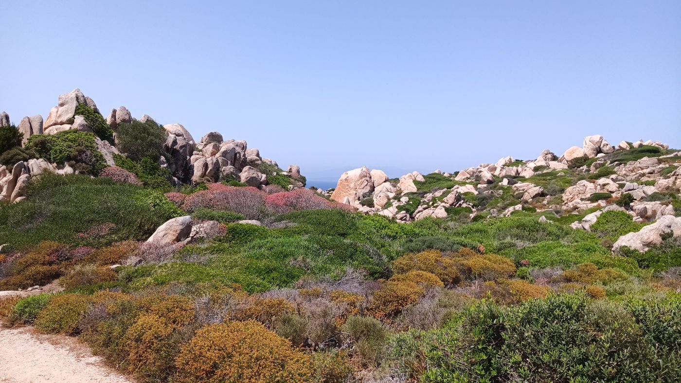 Avec toujours ces vue magnifique sur let nature minéral/végétale