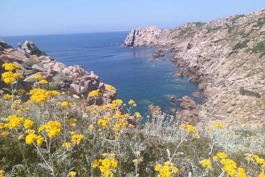 Au loin, la roche avec l faille où j'ai plongée mercredi.