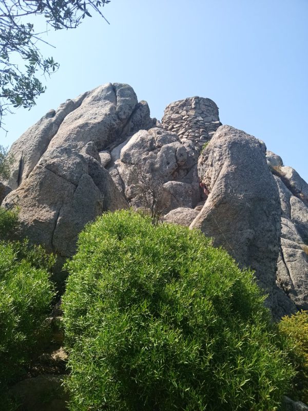 Roche