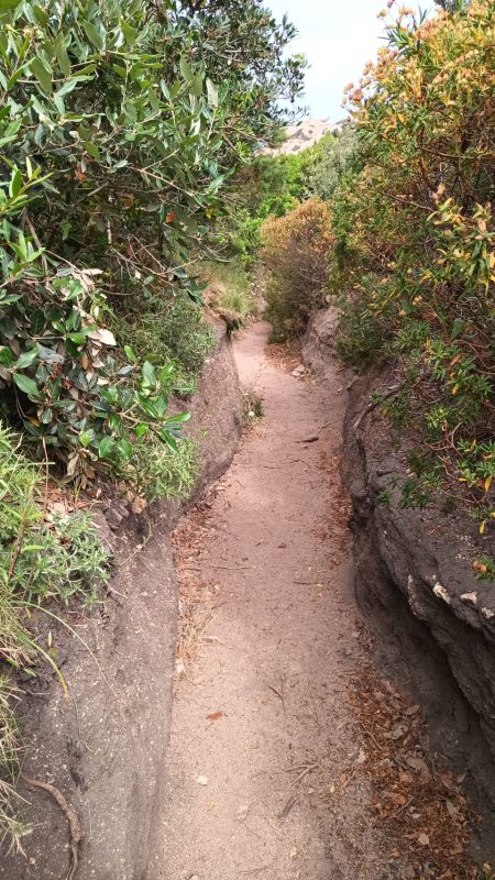 Chemin qui dois aussi être une belle rigole lors des averses !