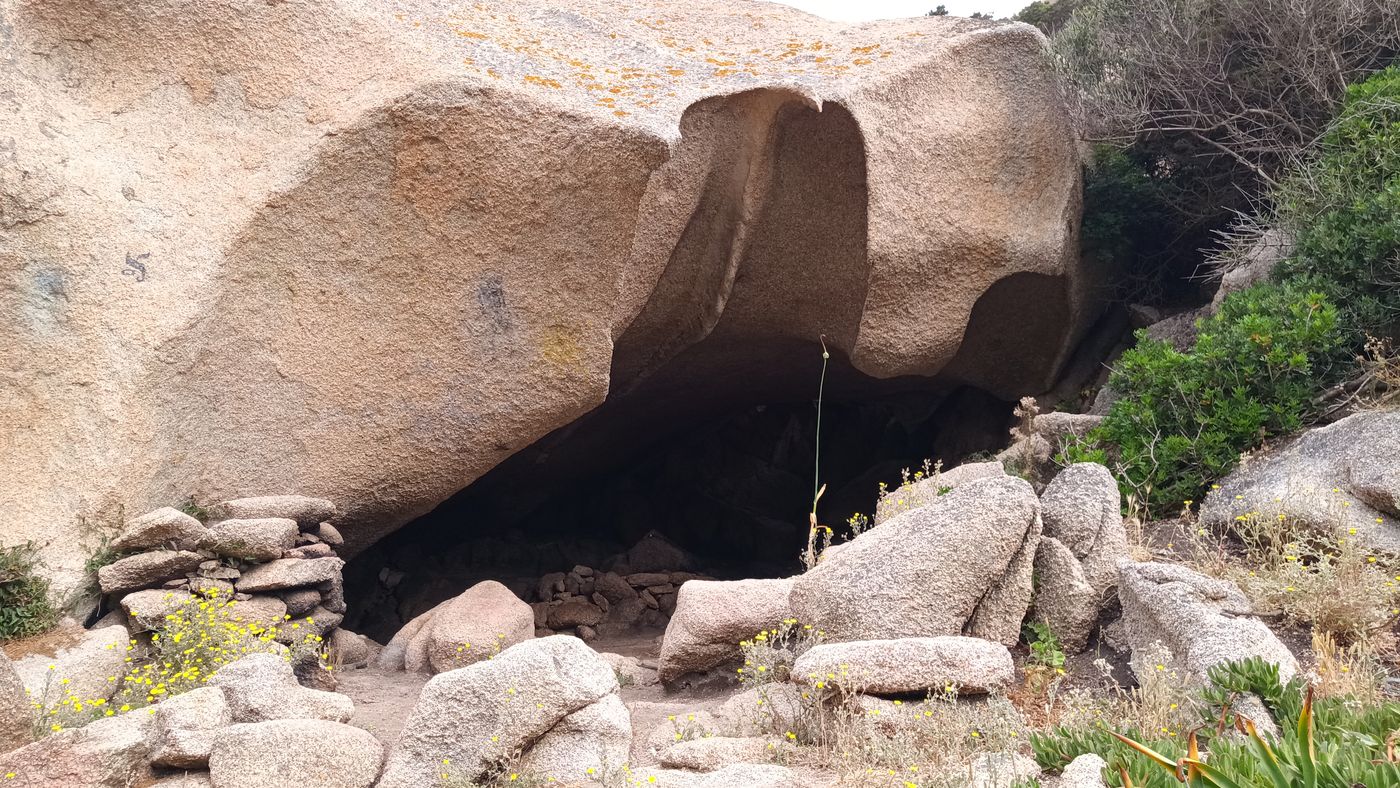 Grotte, dont la roche intègre une sorte de figure de cobras ?