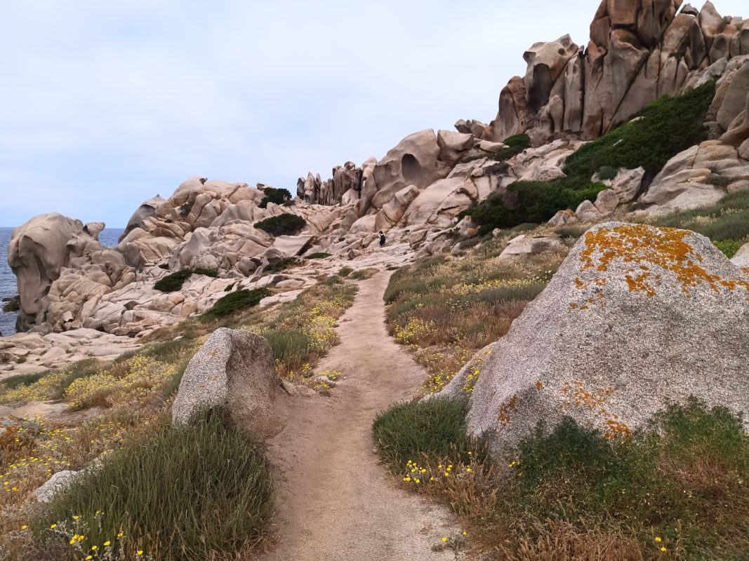 Sentier entre les herbes vers la pointe
