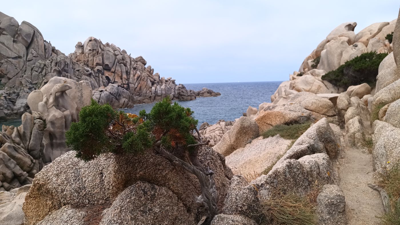 Comment il pousse là lui ?