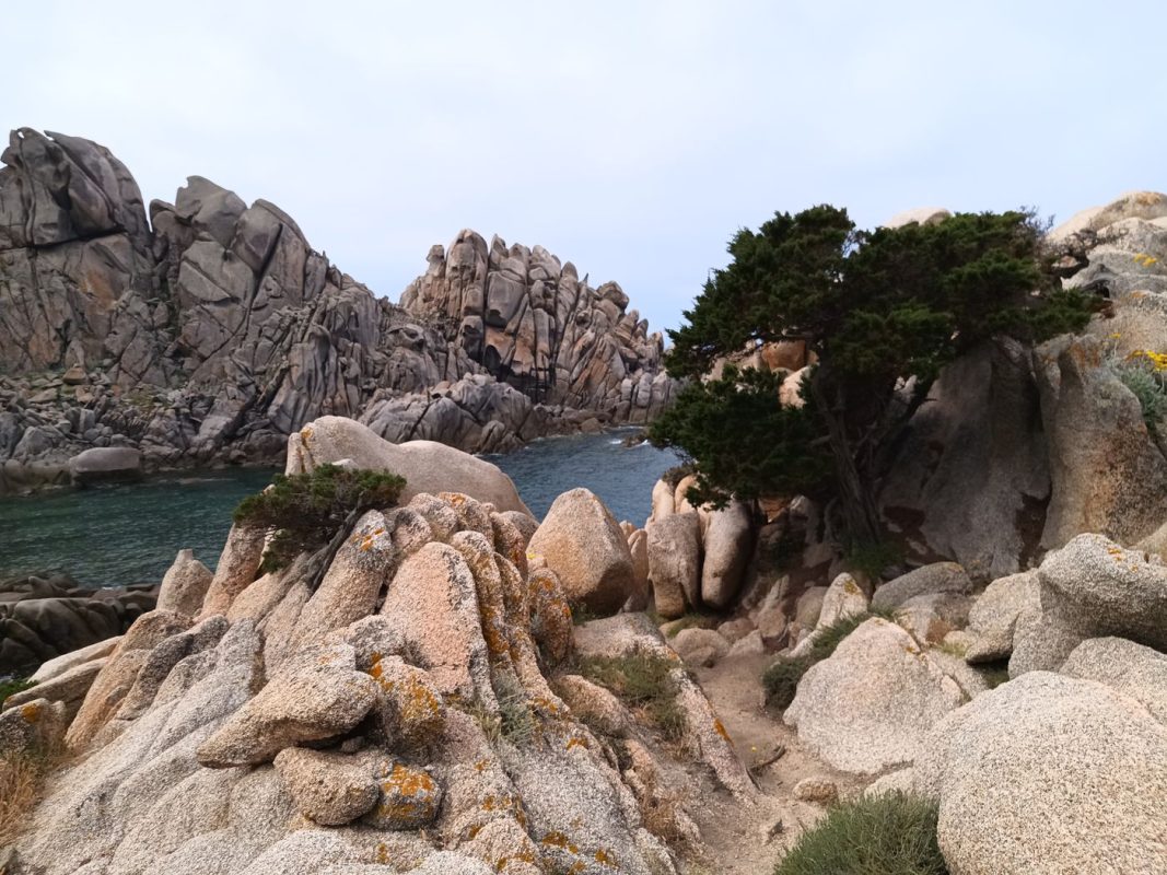 Roches, arbres et mer !