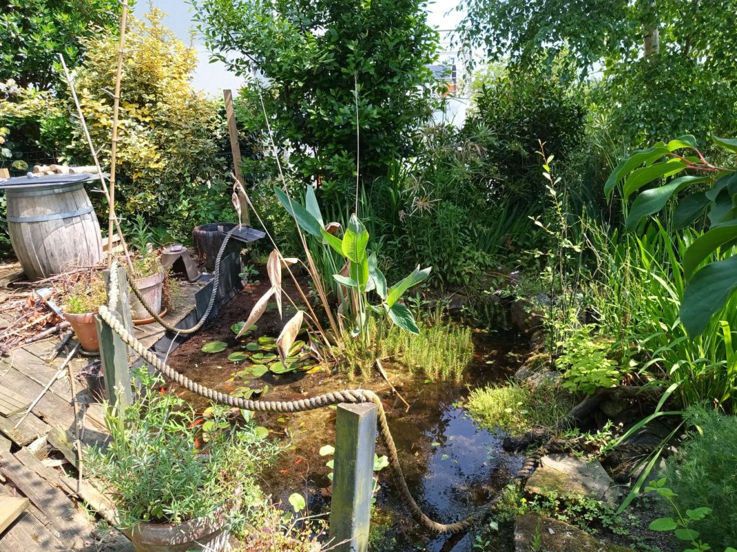Le bassin avant nettoyage