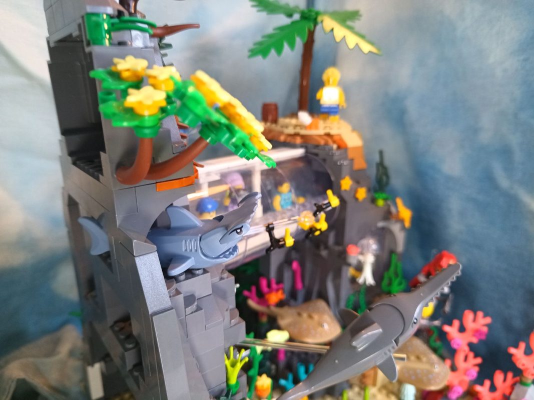 Les requins