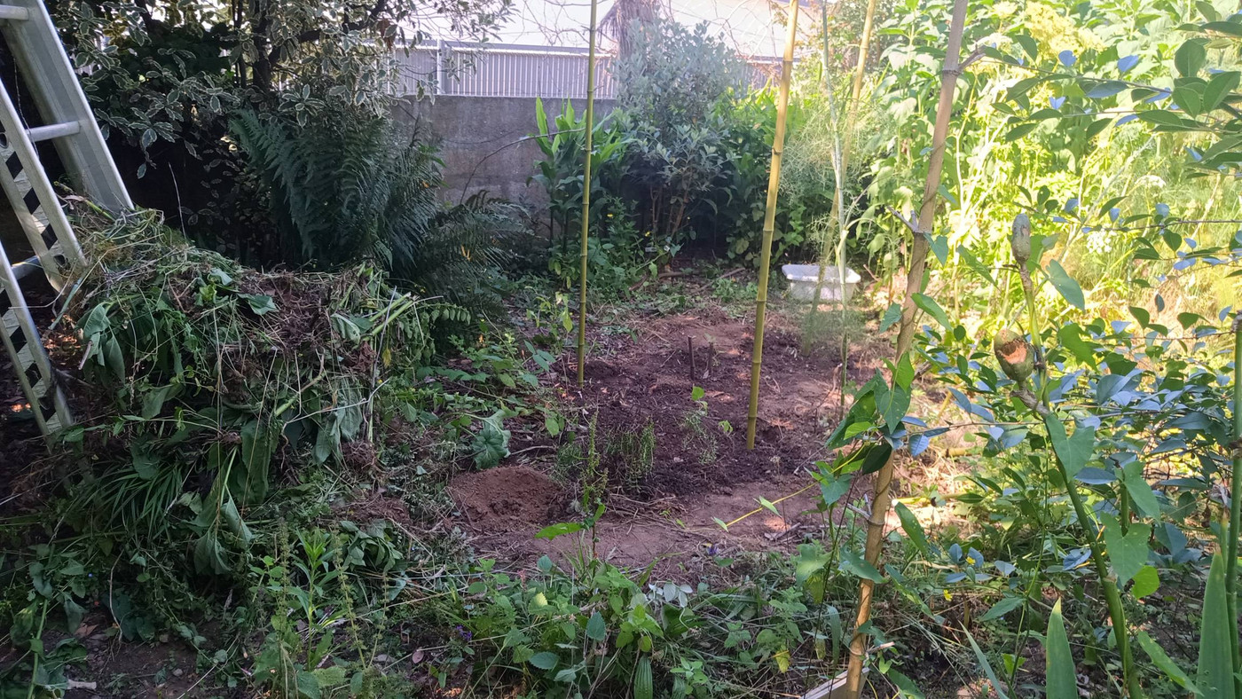 Le 2ème coin potager avec les tomates de maman