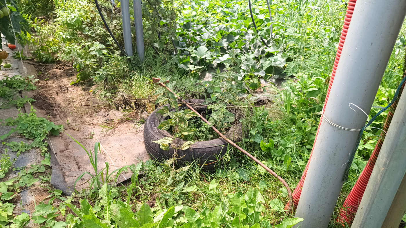 On laisse de la biodiversité !