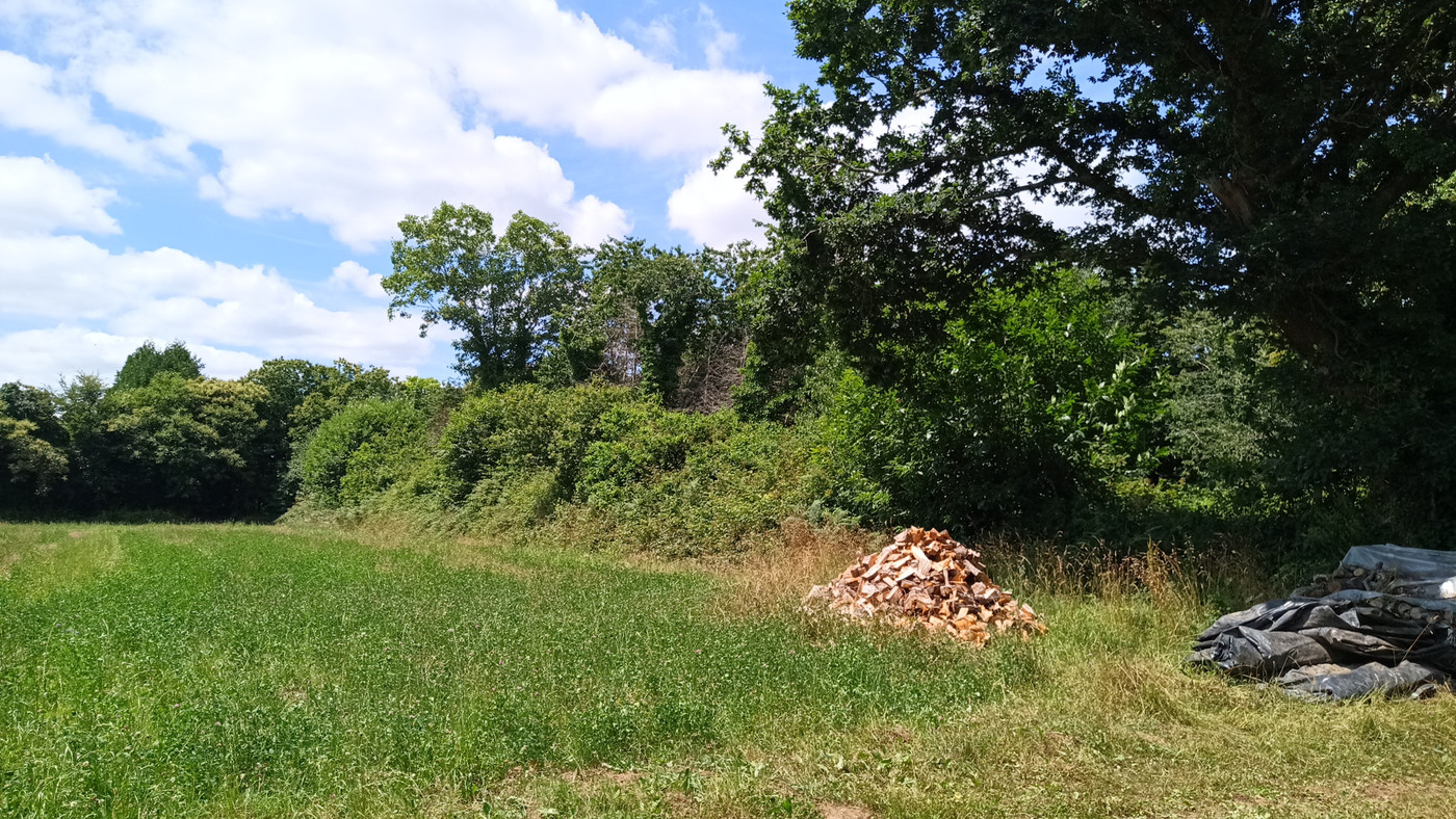 Terrain de jeux !