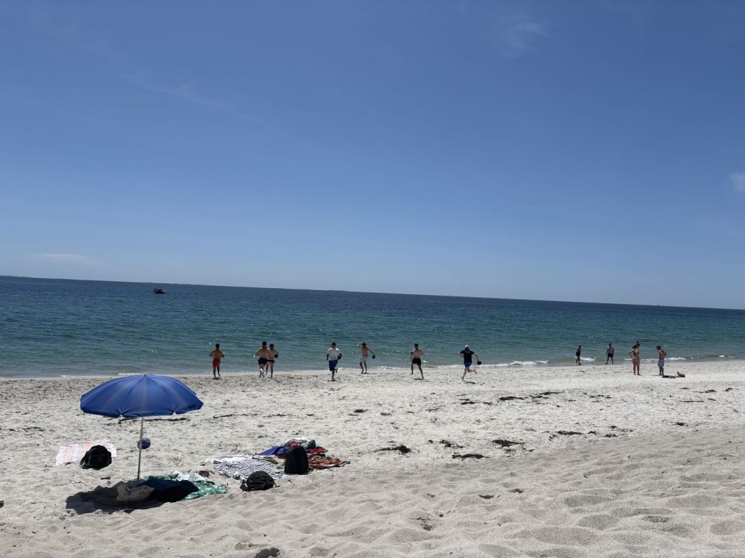 Ils faut ramener l'eau de mer