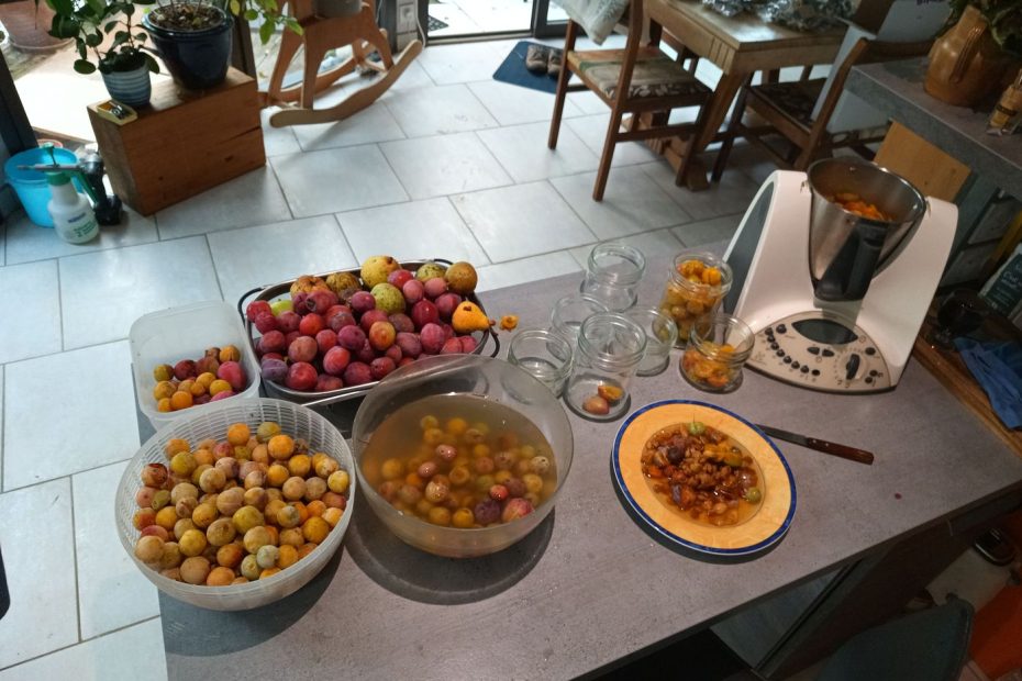 Les fruits en cours de préparation