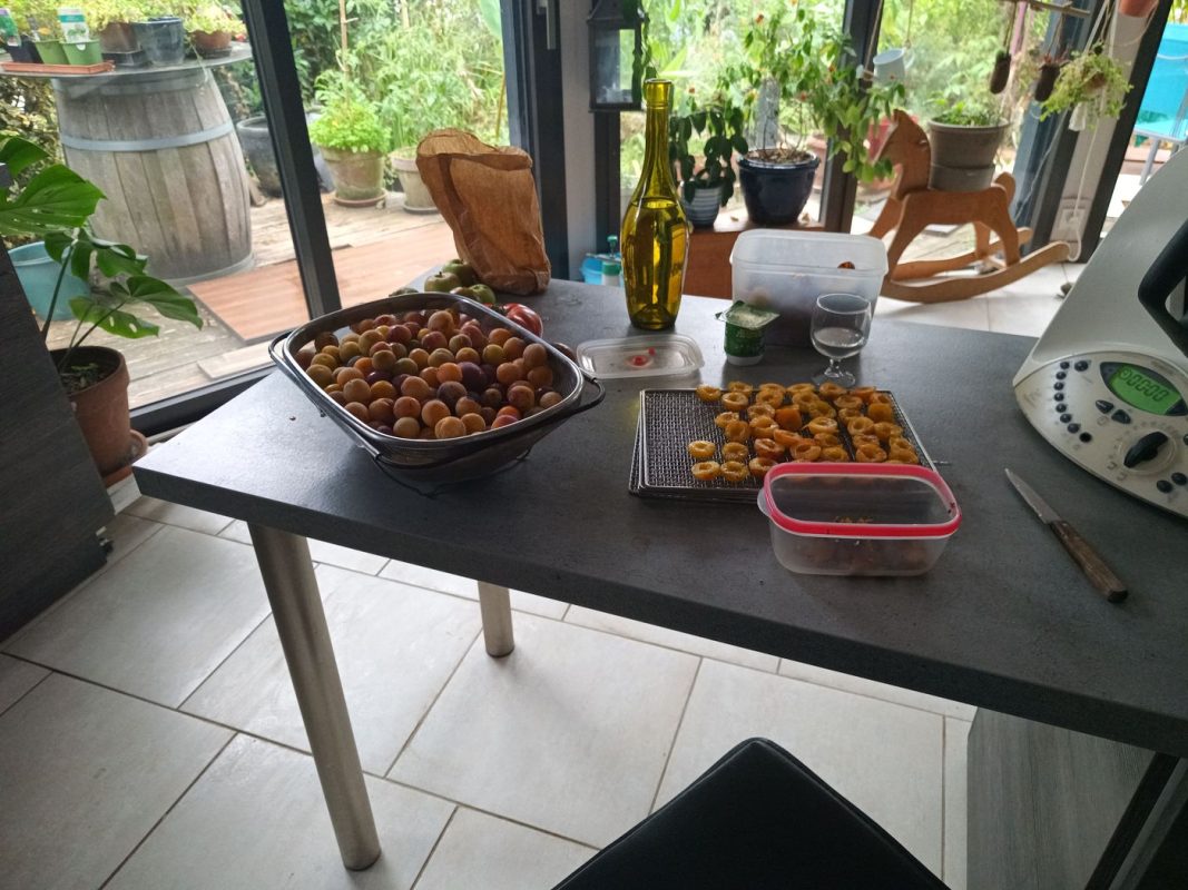 Préparation des fruit séché