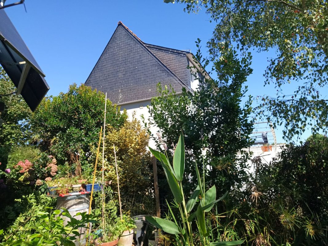 Taille du Laurier avant l'hivers, sinon il fait de l'ombre au panneaux