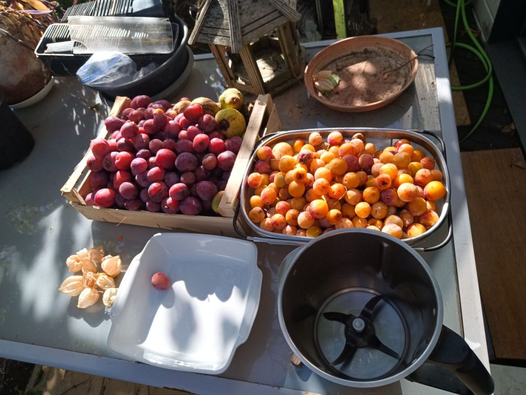 Récolte du vendredi soir