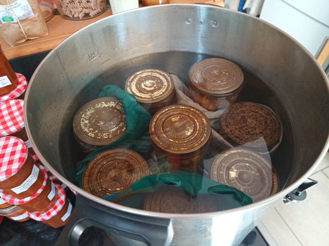 C'est parti pour la stérilisation