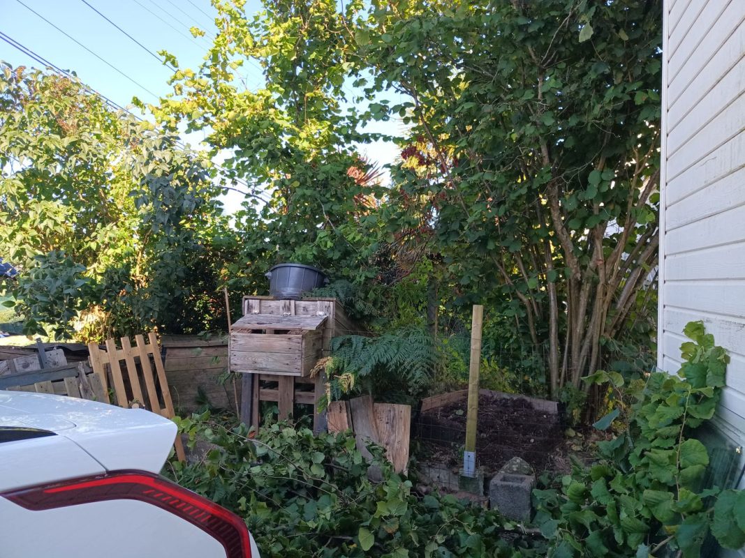 J'enlève un des composteur du devant : il est mûr !