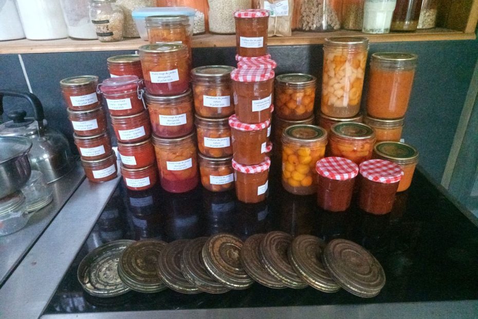 Les bocaux fait en 10 jours