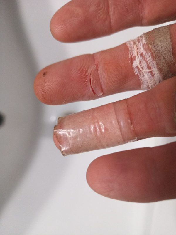 Ca coupe bien la fougère !