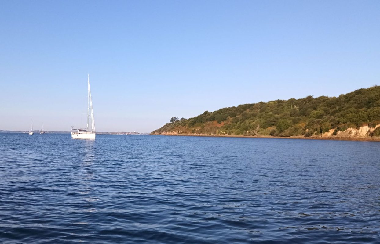 Le mouillage au matin