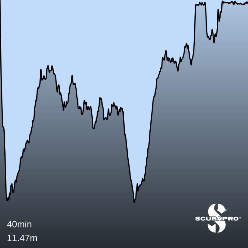 Plongée Ile Ronde Rade de Brest