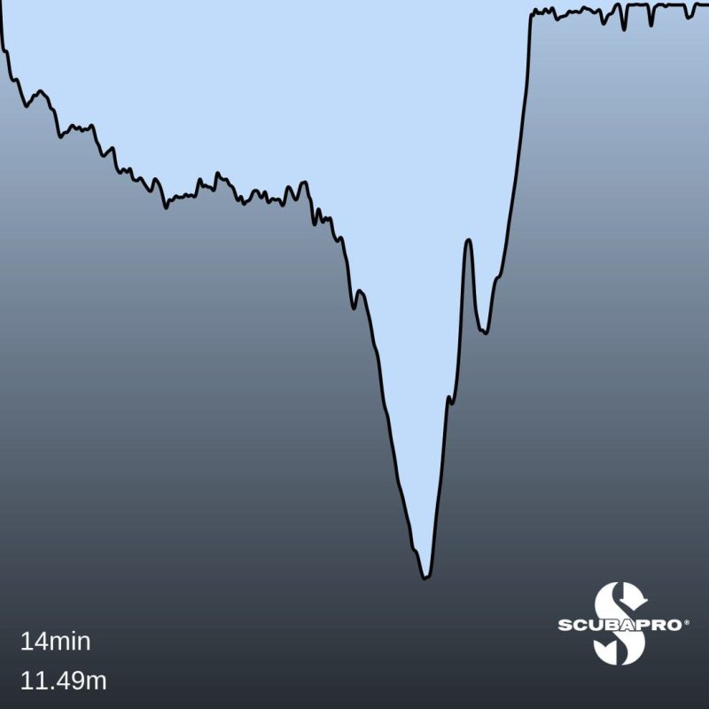 Plongée Ile Ronde Rade de Brest (suite)