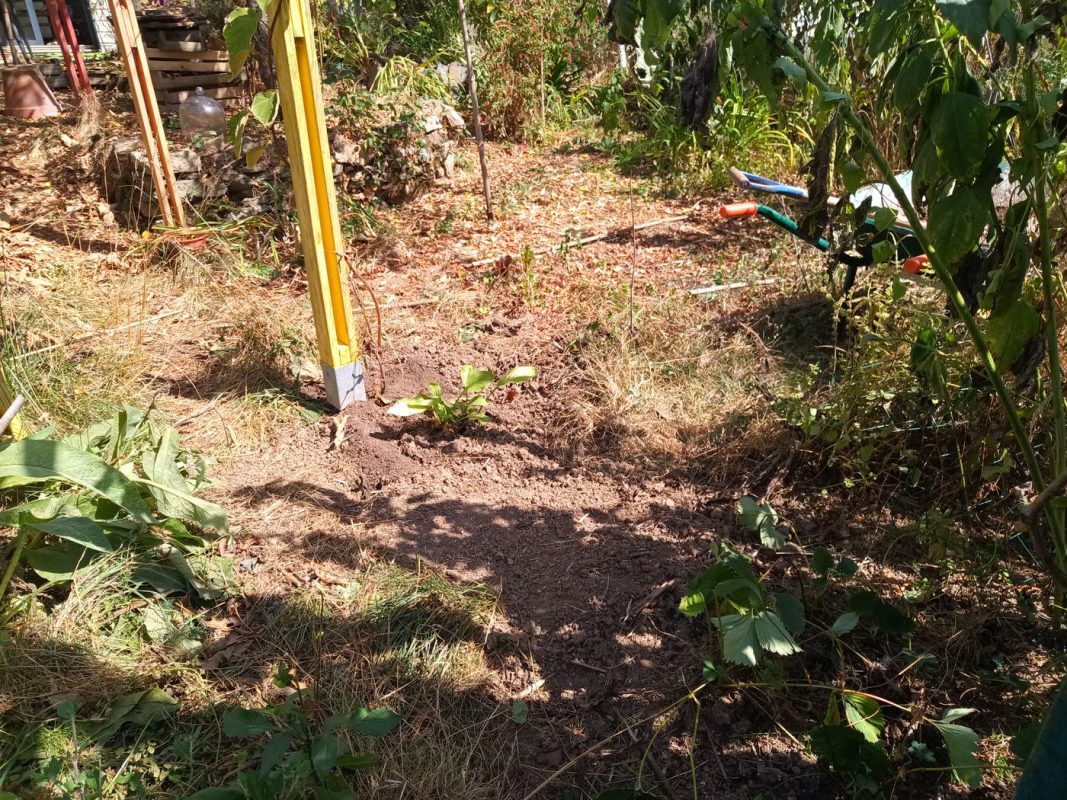 Désherbage et ajout de compost