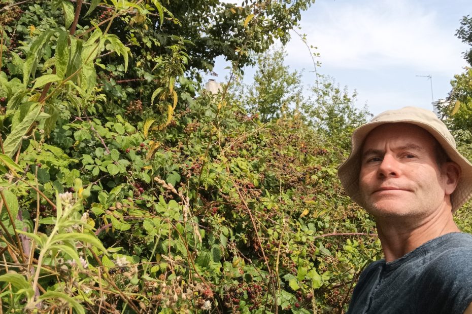 Pause du midi : ramassage de murs pour la confiture