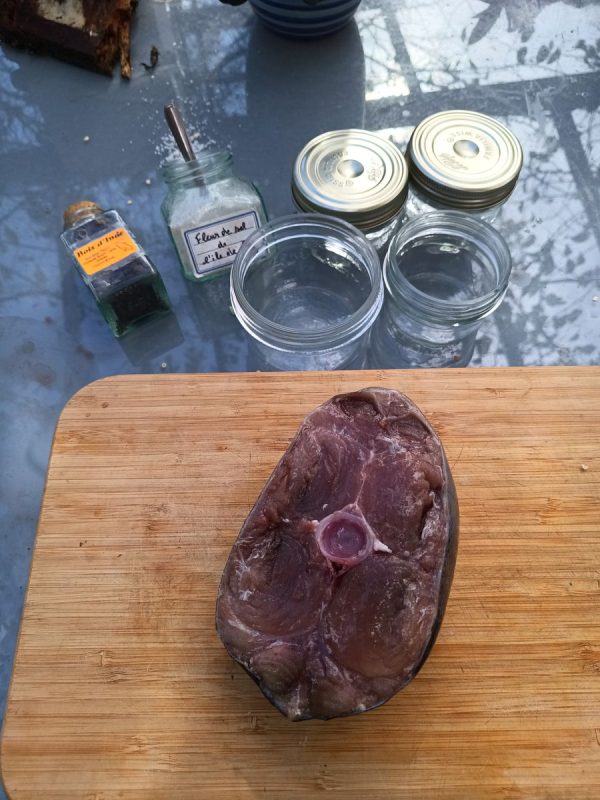 Et du (tout) petit bout de thon