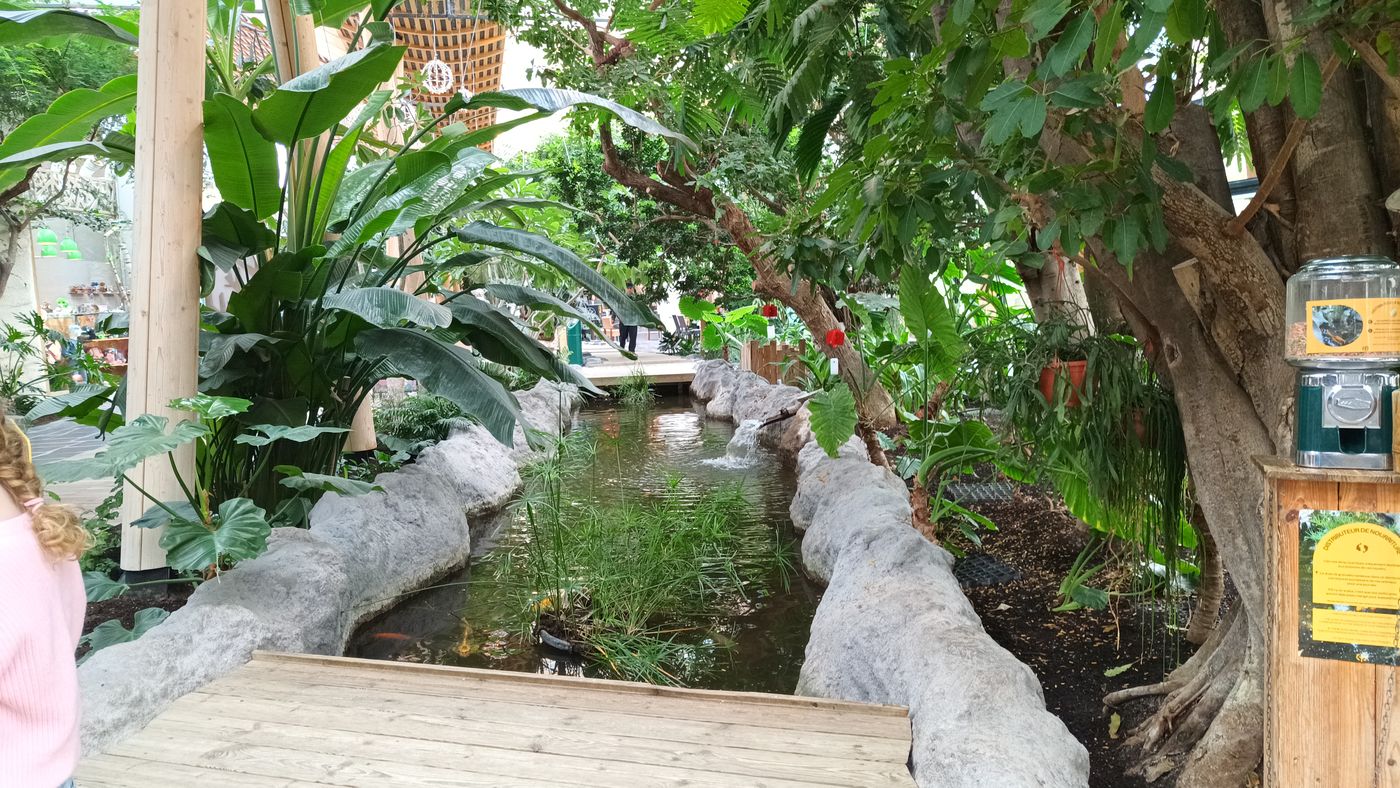Dans le dôme, en allant vers le parc aquatique