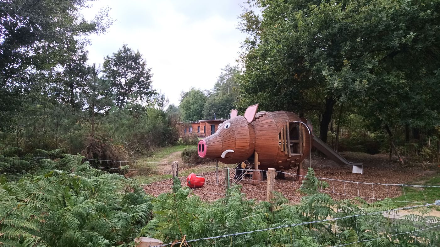 Sur le chemin de la voiture